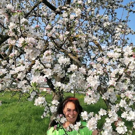 Appartement Im Turm Bellevue Mit 3 Schlafzimmern