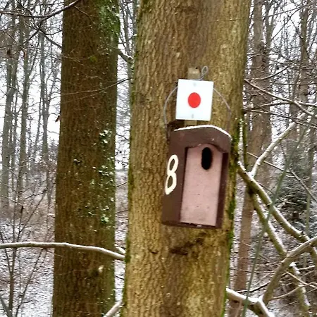 Appartement Im Turm Bellevue Mit 3 Schlafzimmern *