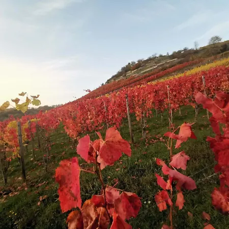 Im Turm Bellevue Mit 3 Schlafzimmern