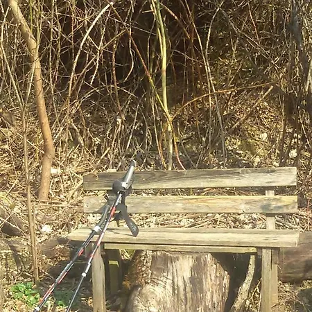 Appartement Im Turm Bellevue Mit 3 Schlafzimmern