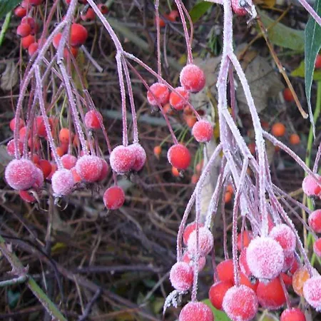 Appartement Im Turm Bellevue Mit 3 Schlafzimmern